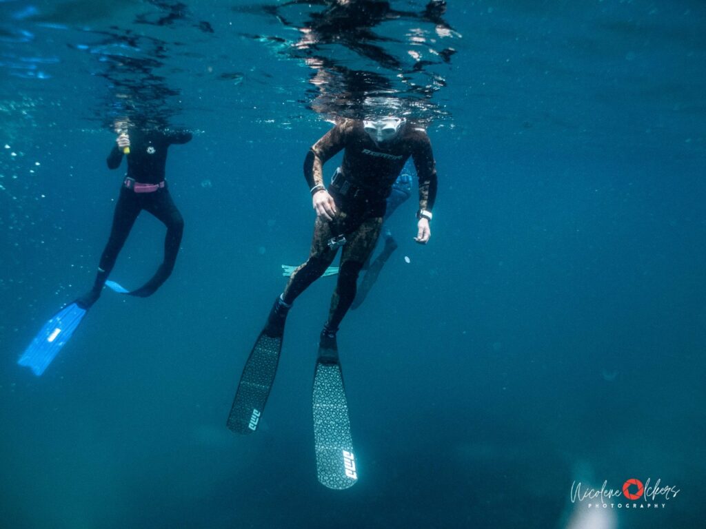 WESTERN CAPE FREEDIVING Cape Town Dive Centre CAPE TOWN FREEDIVING AFRICA