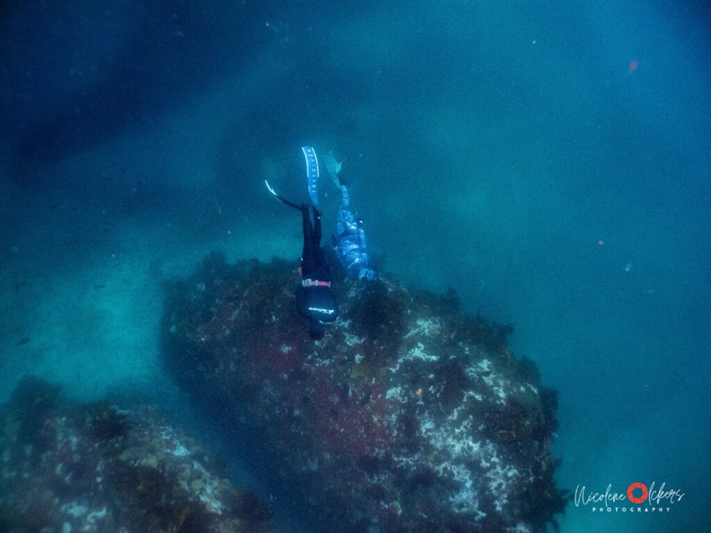 Cape Town Dive Centre CHARL MARAIS FREEDIVING