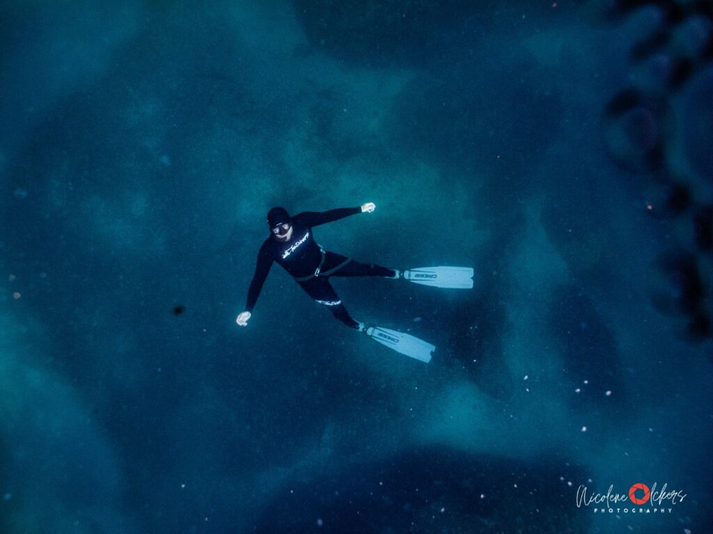 Cape Town Dive Centre CAPE TOWN FREEDIVING