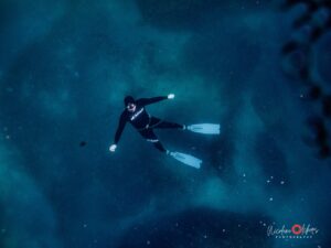 Cape Town Dive Centre CAPE TOWN FREEDIVING