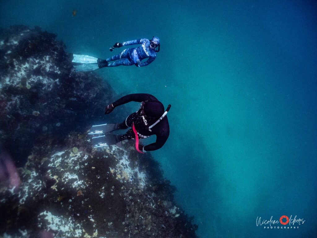 Cape Town Dive Centre CAPE TOWN FREEDIVING