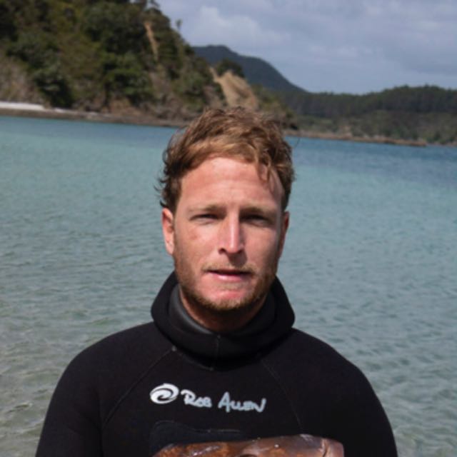 Cape Town Dive Centre CAPE TOWN FREEDIVING AFRICA