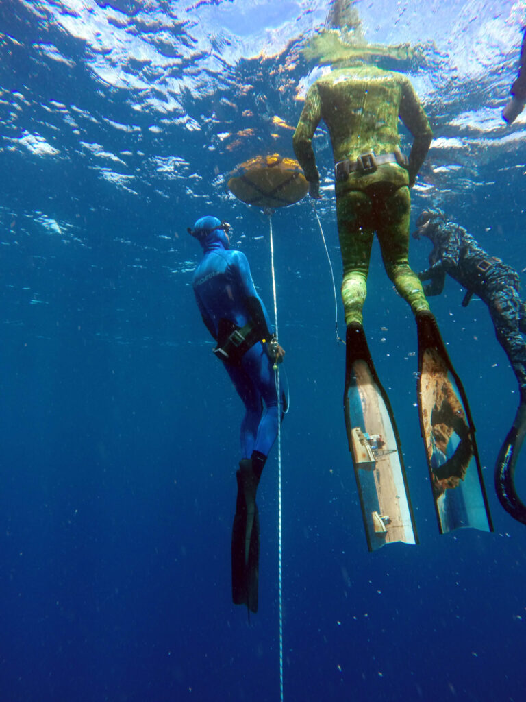 Instructor teaching deep spearfishing in Cape Town
