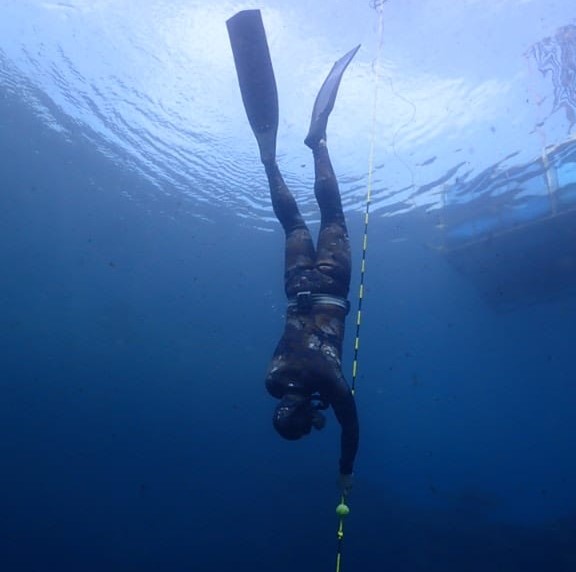 Cape Town Dive Centre CAPE TOWN FREEDIVING AFRICA