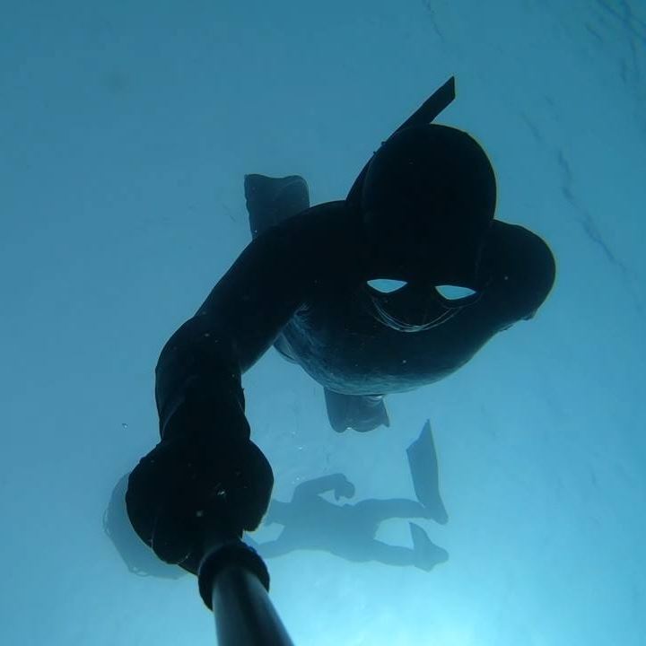 Cape Town Dive Centre CAPE TOWN FREEDIVING AFRICA