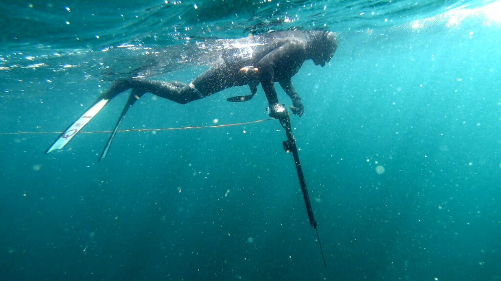 Student starting spearfishing dive