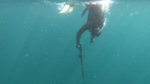 MALDIVES Cape Town Dive Centre CAPE TOWN FREEDIVING AFRICA