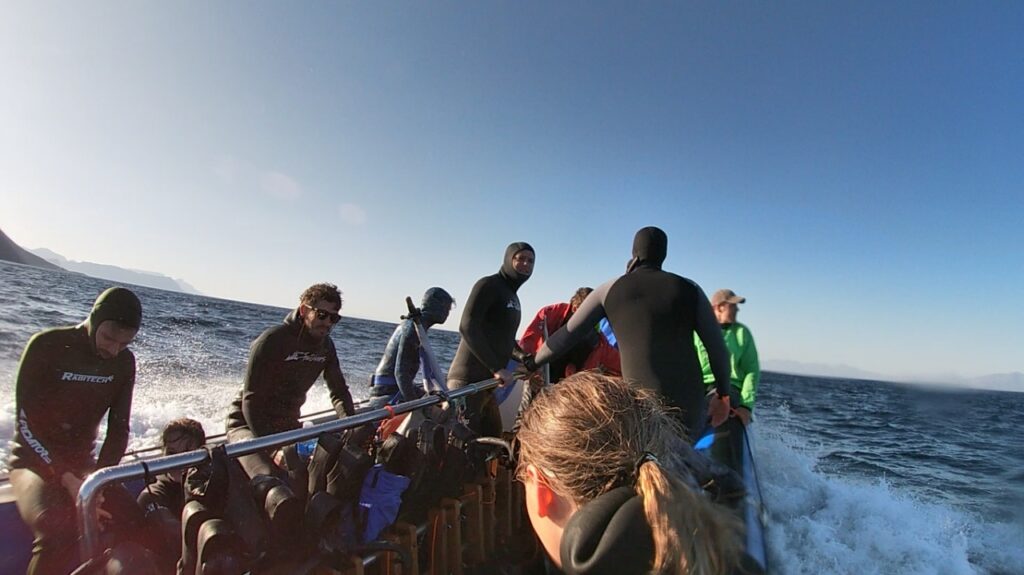 MALDIVES Cape Town Dive Centre CAPE TOWN FREEDIVING AFRICA