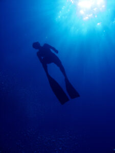 Cape Town Dive Centre CAPE TOWN FREEDIVING AFRICA