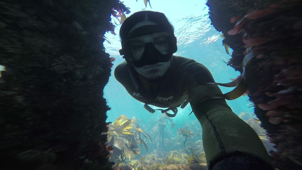 Cape Town Dive Centre