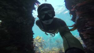 Cape Town Dive Centre