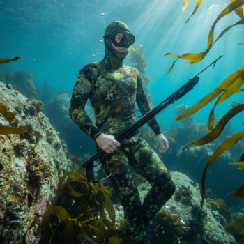 Stonefish wetsuit in Cape Town Kelp Forest
