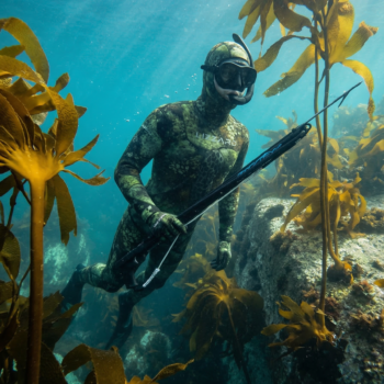 Stonefish wetsuit in Cape Town Kelp Forest