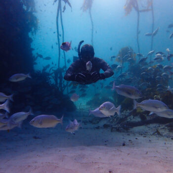 Dive Excursions