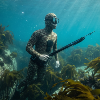 Camo WEtsuit in Cape Town Great Kelp Forest