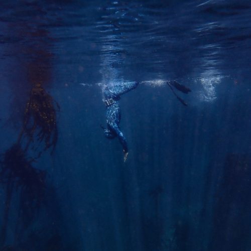 Cape Town Dive Centre CAPE TOWN FREEDIVING AFRICA