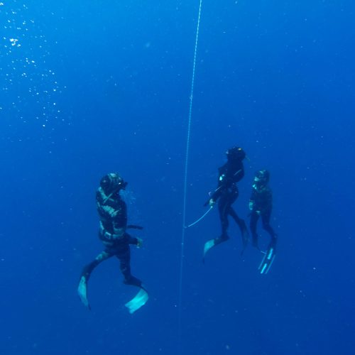 Cape Town Dive Centre CAPE TOWN FREEDIVING AFRICA