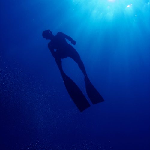 Cape Town Dive Centre CAPE TOWN FREEDIVING AFRICA